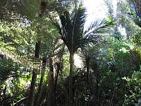 IMG_3296.JPG