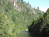 IMG_3309.JPG