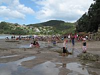 IMG_3374.JPG