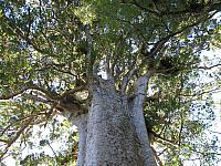 IMG_3412.JPG