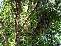 IMG_3437.JPG