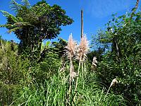 IMG_3442.JPG