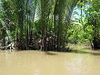 Mekong Delta