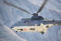 Super Puma/Cougar