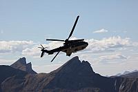 Super Puma/Cougar