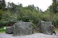 IMG_3585.JPG