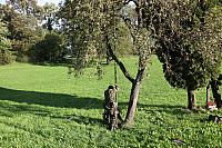 IMG_3616.JPG