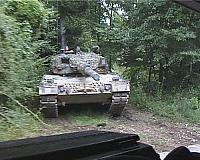 leo8.jpg