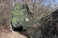 IMG_5961.JPG