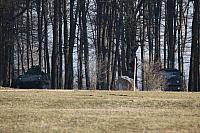 IMG_6020.JPG