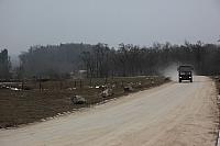 IMG_5555.JPG