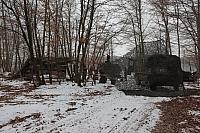 IMG_5603.JPG