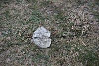 IMG_5640.JPG