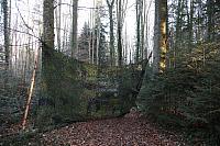 IMG_5715.JPG