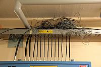IMG_5726.JPG
