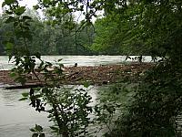 P6044646.JPG