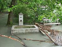 P6044655.JPG