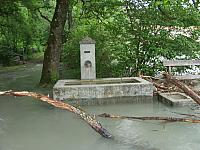 P6044657.JPG