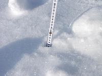 P1296369