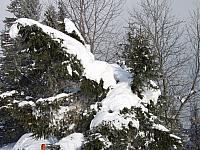 P1296371