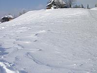 P1296379