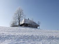 P1296382