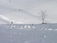 P1296383