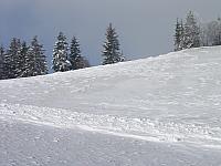 P1296384
