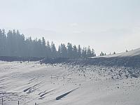 P1296388