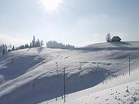 P1296389