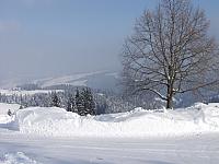P1296393