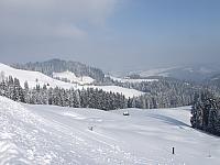 P1296394