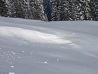 P1296396