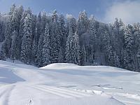 P1296399