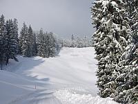 P1296400