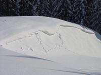 P1296401