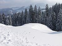 P1296402
