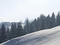 P1296406