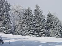 P1296407