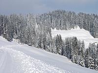 P1296410