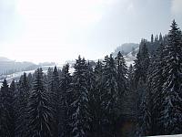 P1296419