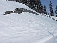 P1296421