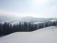 P1296424