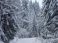 P1296431