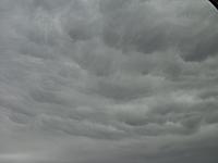 P6298677