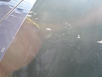 DSC01799.JPG