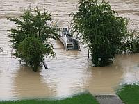 DSCF2204.jpg