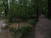 DSCF2214.jpg