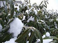 DSCF0472