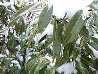 DSCF0473